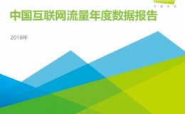 2018年中国互联网流量年度数据报告111页