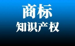 杨涛：商标注册申请被驳回的策略！