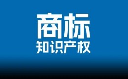 2022年中国法院50件典型知识产权案例